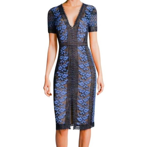 bcbg floral lace dress